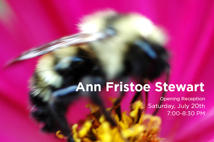 Saturday, July 20th from 7:00-8:30pm Saturday, July 20th from 7:00-8:30pm